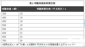母豬群養產業動態 市場行情、技術趨勢與專業服務平臺縱覽
