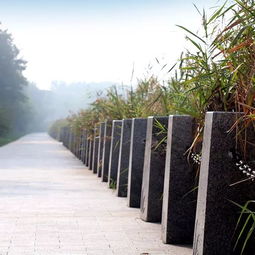 中邦園林兩項(xiàng)工程榮膺2018年度中國(guó)園林綠化優(yōu)秀施工項(xiàng)目