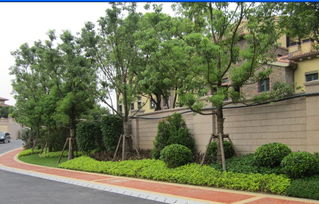 福州園林綠化工程 喬木、花灌木種植設(shè)計(jì)與施工要點(diǎn)