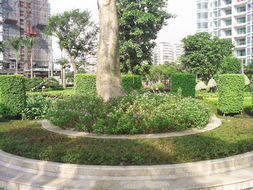 中山最便宜的剪花剪草、園林規(guī)劃設(shè)計與綠化工程施工全攻略