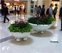 中山全方位綠化與植物租賃服務(wù)指南 從風(fēng)水綠植到園林工程，打造高性價比綠色空間